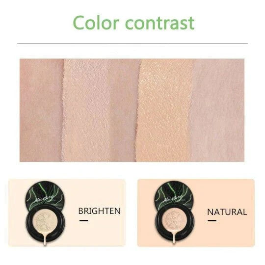 Palget™ — Unlock Radiant Skin That Glows All Day